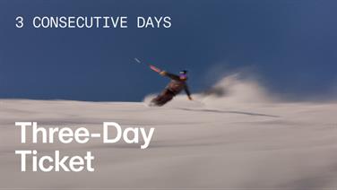 Image for: THREE-DAY TICKET